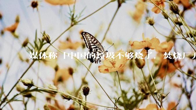 媒体称「中国的垃圾不够烧了，焚烧厂开始抢垃圾」，是真的吗？焚烧垃圾能带来哪些好处？背后有怎样的利益？